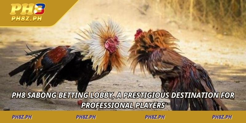 Ph8 sabong betting lobby, a prestigious destination for professional players