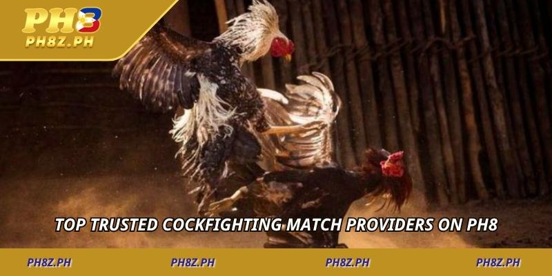 Top trusted cockfighting match providers on PH8