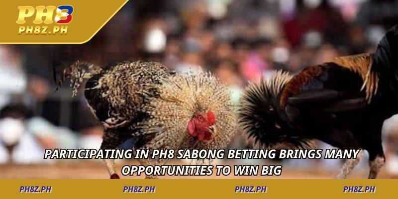 Participating in Ph8 sabong betting brings many opportunities to win big