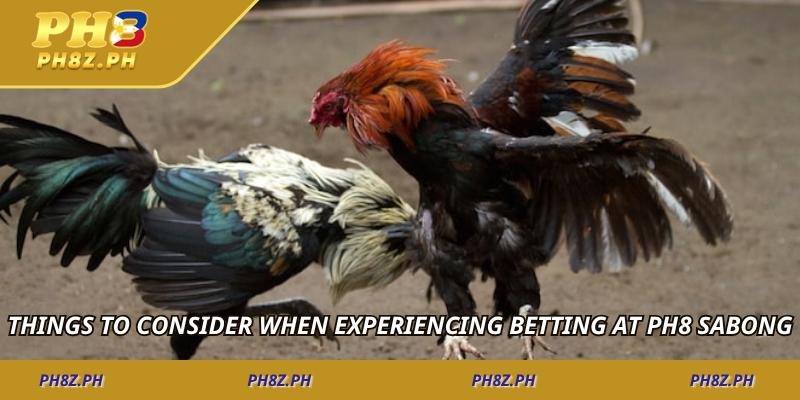 Things to consider when experiencing betting at Ph8 sabong
