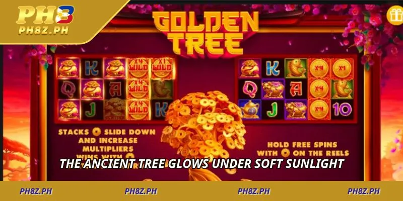 The ancient tree glows under soft sunlight