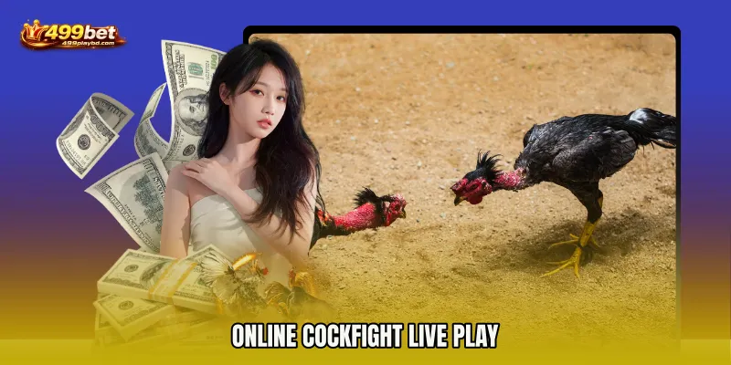 Online Cockfight live play
