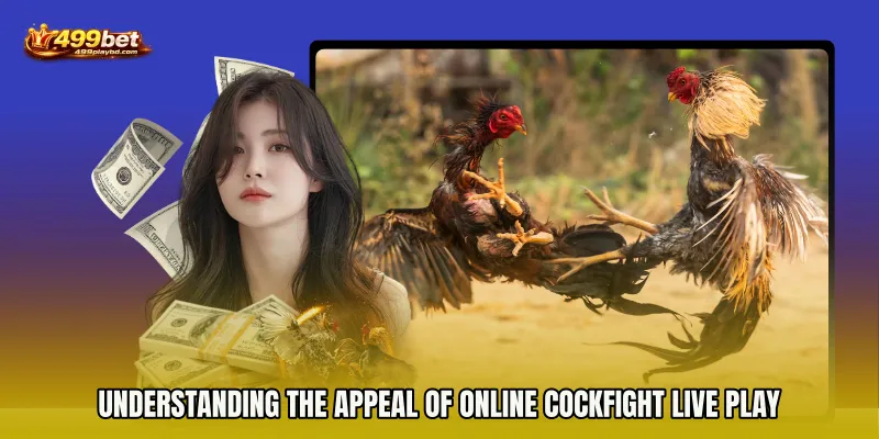 Understanding the Appeal of Online Cockfight live play